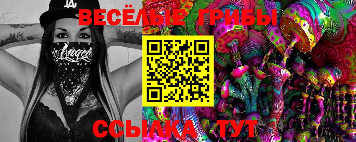 Кстово  Галлюциногенные грибы Psilocybine cubensis  Псилоцибиновые грибы Psilocybine cubensis  Вход с VPN 