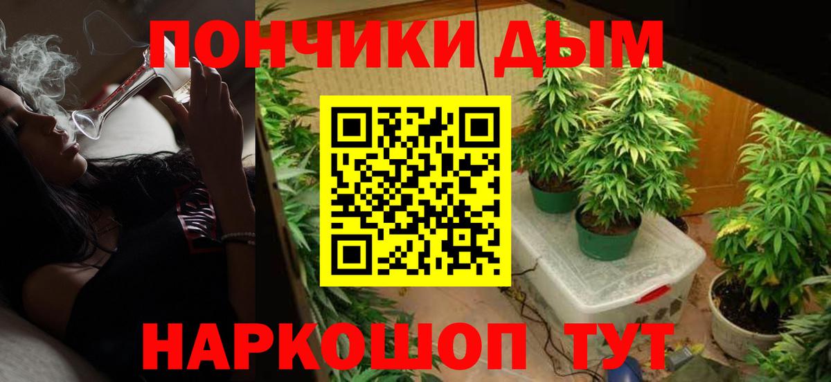Каннабис ГИДРОПОН  Конопля Bruce Banner  Конопля ГИДРОПОН  Кстово  Вход с VPN 